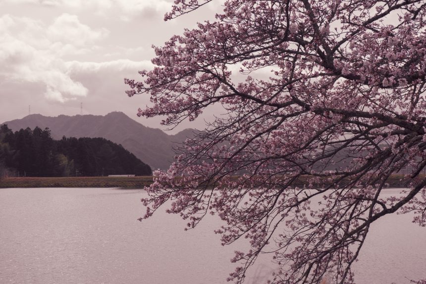 水道秋聖　「千野の池」 下水道処理場について | 長野県・あづみ野・池田町